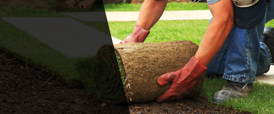 Odem Landscapers